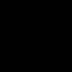 Meet your Posher, Maggie